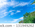 Blue sky, clouds and grove 131949262