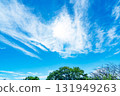 Blue sky, clouds and grove 131949263