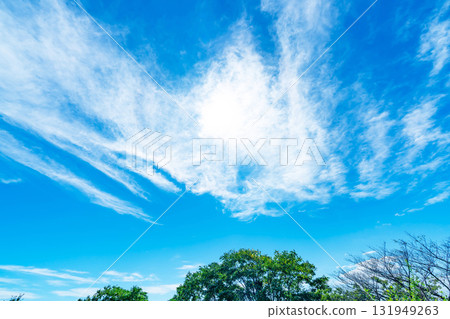 藍天，白雲和樹林 131949263