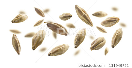 Barley malt grains levitate on a white background 131949731