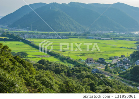 一個被綠樹環繞的村莊 131950061