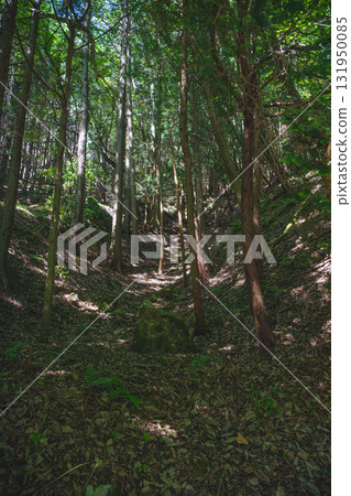 Takeda Castle, the castle in the sea of clouds, and the moat in the forest 131950085
