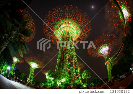 濱海灣花園的擎天樹 131950122