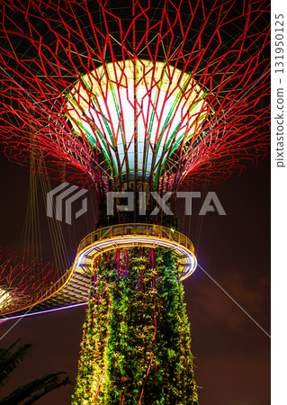 自然與光之橋（擎天樹） 131950125