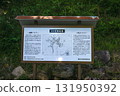 竹田城、雲海之城、城內資訊板 131950392