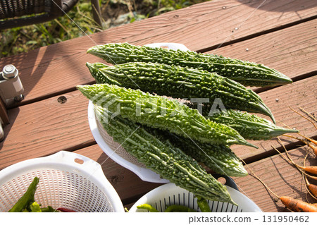 Freshly harvested summer vegetables Freshly harvested summer vegetables 131950462