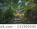 竹田城，雲海中的城堡，通往城堡的道路的風景 131950500