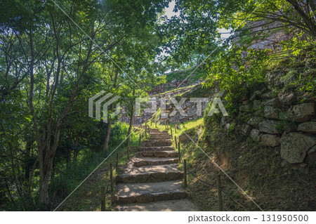 Takeda Castle, a castle in the sea of clouds, scenery of the path to the castle Takeda Castle, a castle in the sea of clouds, scenery of the path to the castle 131950500