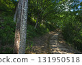 竹田城，雲海中的城堡，通往城堡的道路的風景 131950518