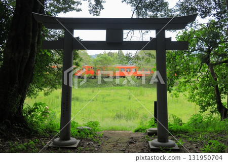 Kominato Railway "Itabashi Station and the shrine's torii gate" 131950704