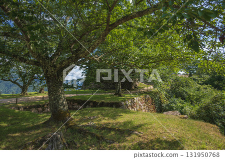雲海之城竹田城內的夏日風景 131950768