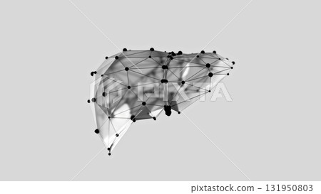 3d render of low-poly liver over white background 131950803