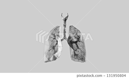 3d render of low-poly lungs over white background 131950804
