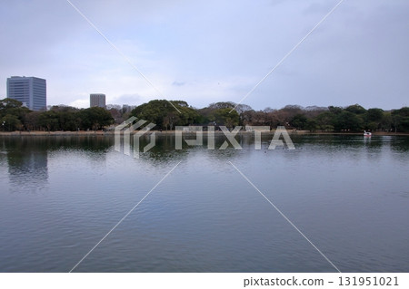 Ohori Park, a paradise for wild birds in Fukuoka City, Fukuoka Prefecture 131951021