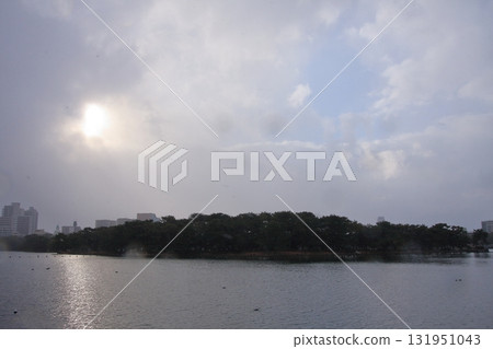 福岡縣福岡市野鳥的天堂-大濠公園 福岡縣福岡市野鳥的天堂-大濠公園 131951043