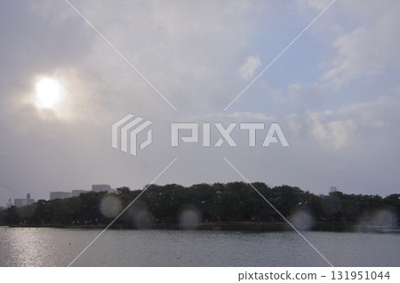 福岡縣福岡市野鳥的天堂－大濠公園 131951044