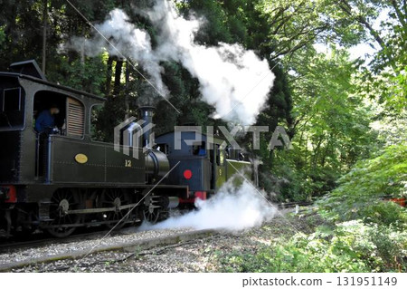 A steam locomotive running among the fresh greenery (a Meiji-era multi-unit steam locomotive) 131951149