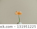 gerbera flowers in a vase gerbera flowers in a vase 131951225