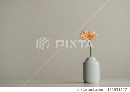 gerbera flowers in a vase gerbera flowers in a vase 131951227