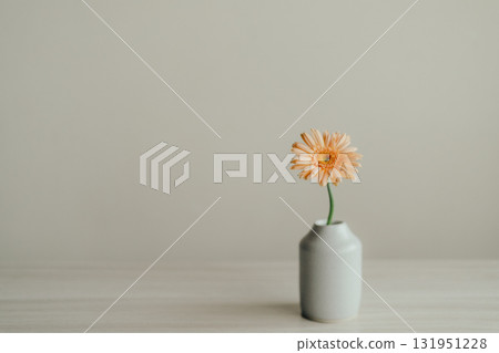 gerbera flowers in a vase 131951228