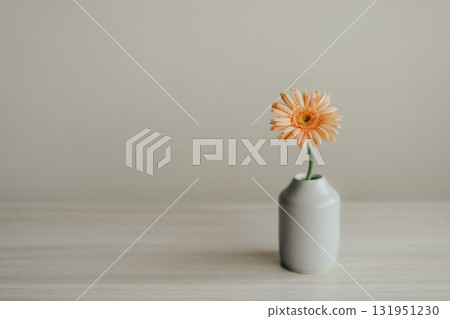 gerbera flowers in a vase 131951230