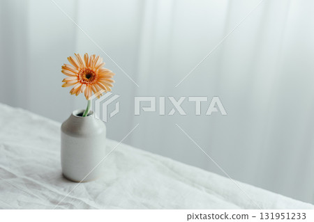 gerbera flowers in a vase 131951233
