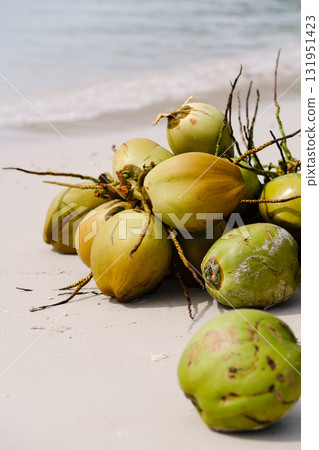 Fresh coconuts gathered on a sandy beach near tranquil waves during a sunny day 131951423