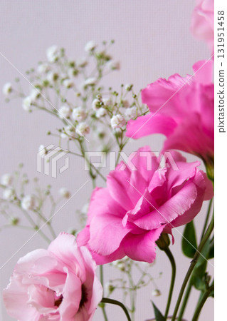 Turkish bellflower and baby's breath Turkish bellflower and baby's breath 131951458