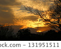 日落和森林剪影 131951511