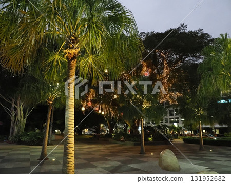 凱恩斯潟湖-夜晚棕櫚樹和舞動燈光的廣場 凱恩斯潟湖-夜晚棕櫚樹和舞動燈光的廣場 131952682