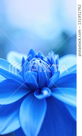Blue spring flower close-up on a varied background, a macro beauty of nature's purple and blue bloom 131952762