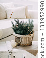 Christmas spruce branches with pine cone and string lights in wicker basket. Cozy festive winter holiday home interior decoration. 131952990