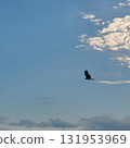 Birds flying in the sky 131953969