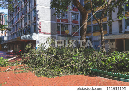 Sept 27 2025 Residential Building Courtyard After Storm With Fallen Branches Sept 27 2025 Residential Building Courtyard After Storm With Fallen Branches 131955195