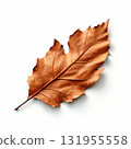 an AI Image Generator, Elegant Copper Maple Leaf Sculpture With Cream Highlights 131955558