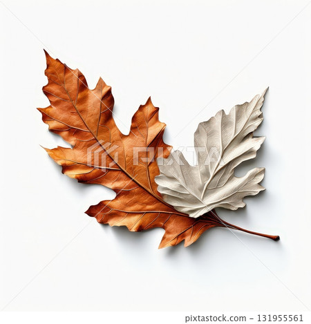 an AI Image Generator, Elegant Copper Maple Leaf Sculpture With Cream Highlights 131955561