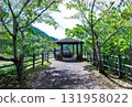 A gazebo surrounded by fresh greenery 131958022