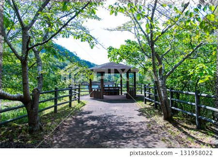 涼亭周圍環繞著新鮮的綠色植物 131958022