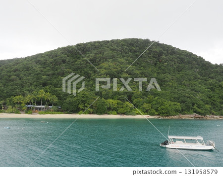 Fitzroy Island – Sundance Day Charters and a beach surrounded by green slopes 131958579
