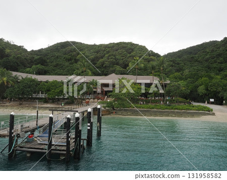 Fitzroy Island – jetty and forested resort entrance 131958582