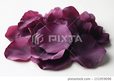 Delicate Rose Petals Softly Illuminated in Natural Light Create a Serene Ambiance Generative AI 131959096
