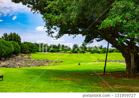 A resort golf course with a refreshing tropical blue sky, blue sea, palm trees and vibrant grass (Miyakojima City, Okinawa Prefecture) A resort golf course with a refreshing tropical blue sky, blue sea, palm trees and vibrant grass (Miyakojima City, Okinawa Prefecture) 131959727