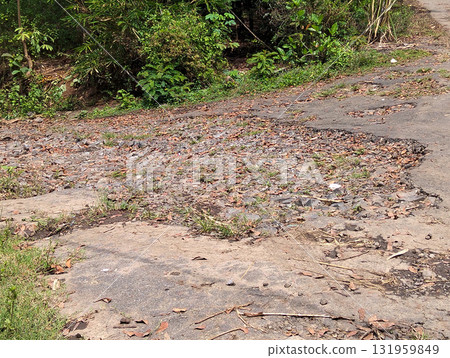 Hazardous pothole-ridden rural road surface with debris and overgrown vegetation creating a dangerous driving challenge Hazardous pothole-ridden rural road surface with debris and overgrown vegetation creating a dangerous driving challenge 131959849