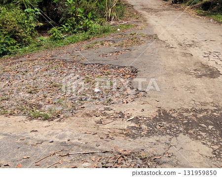 Rugged rural road with damaged asphalt and lush green foliage bordering a forgotten path 131959850