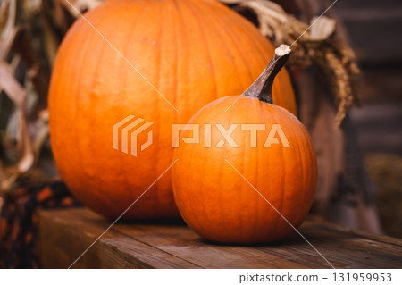 Autumn Harvest Pumpkins with Blanket 131959953