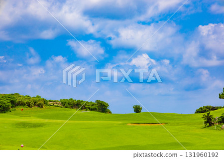 A resort golf course with a refreshing tropical blue sky, blue sea, palm trees and vibrant grass (Miyakojima City, Okinawa Prefecture) 131960192