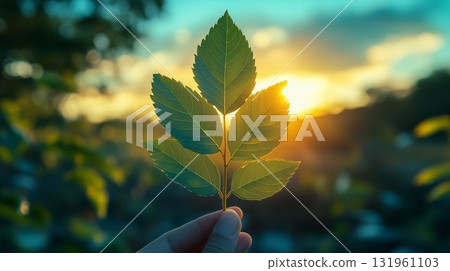 Green leaf held against golden sunset creating natural silhouette, demonstrating environmental conservation and sustainable lifestyle choices Green leaf held against golden sunset creating natural silhouette, demonstrating environmental conservation and sustainable lifestyle choices 131961103