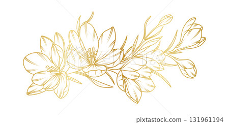 Golden crocus flowers line art isolated on white background. Luxury crocus floral design elements for invitation, wedding, wallpaper, print template, vector illustration 131961194