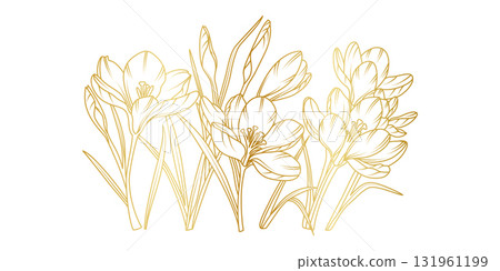 Golden crocus flowers line art isolated on white background. Luxury crocus floral design elements for invitation, wedding, wallpaper, print template, vector illustration Golden crocus flowers line art isolated on white background. Luxury crocus floral design elements for invitation, wedding, wallpaper, print template, vector illustration 131961199