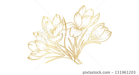 Golden crocus flowers line art isolated on white background. Luxury crocus floral design elements for invitation, wedding, wallpaper, print template, vector illustration Golden crocus flowers line art isolated on white background. Luxury crocus floral design elements for invitation, wedding, wallpaper, print template, vector illustration 131961203